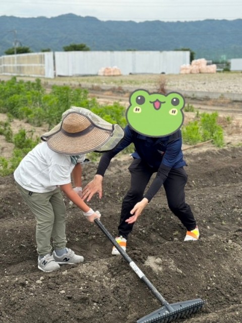 さつまいもを植えるための土作り